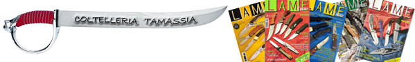 banner lame
